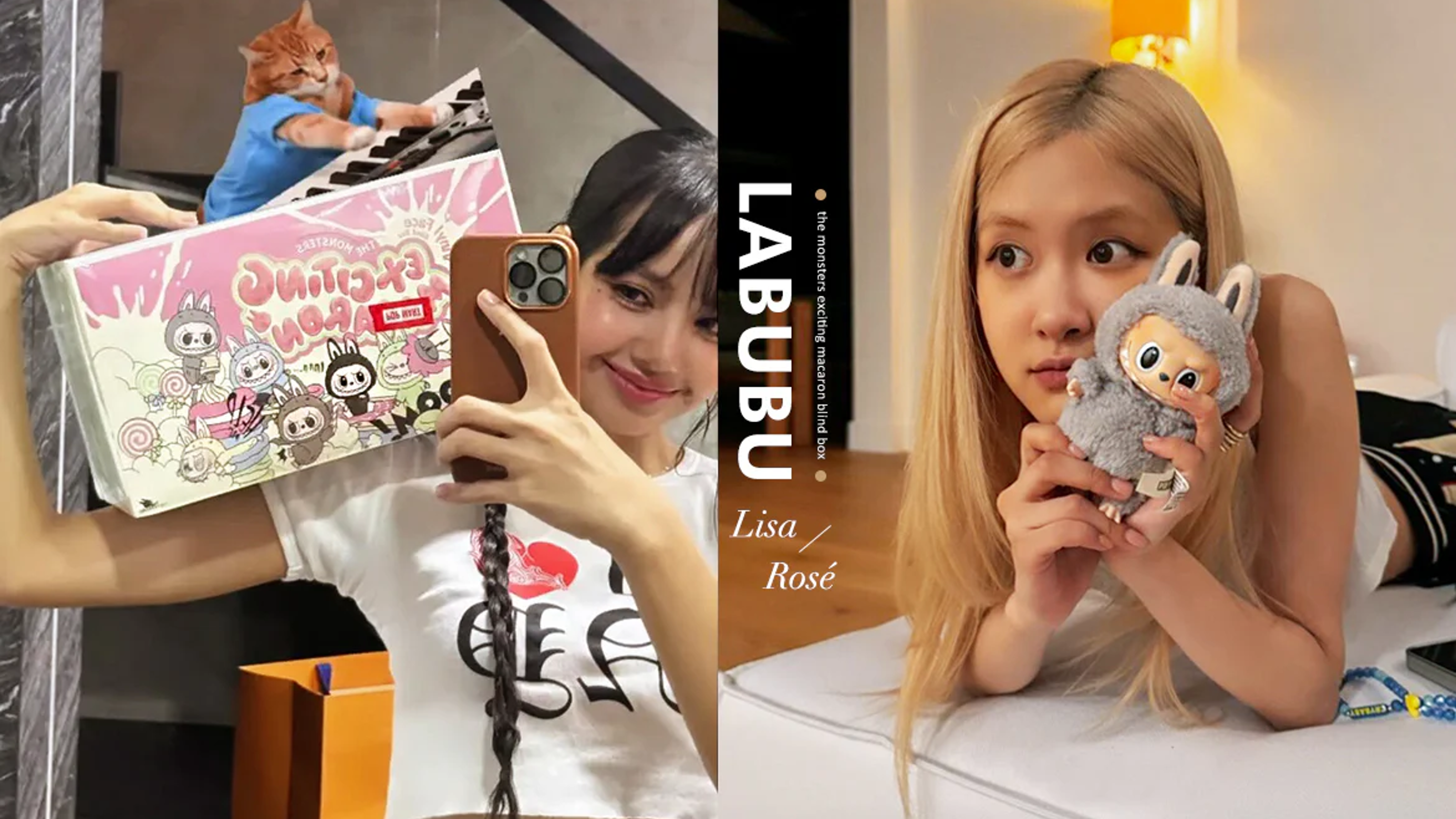 Labubu Clothes Collection